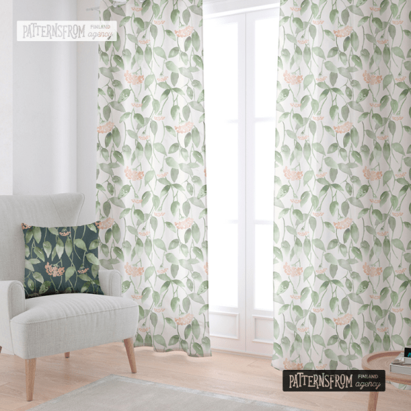 Hoya - Carnosa